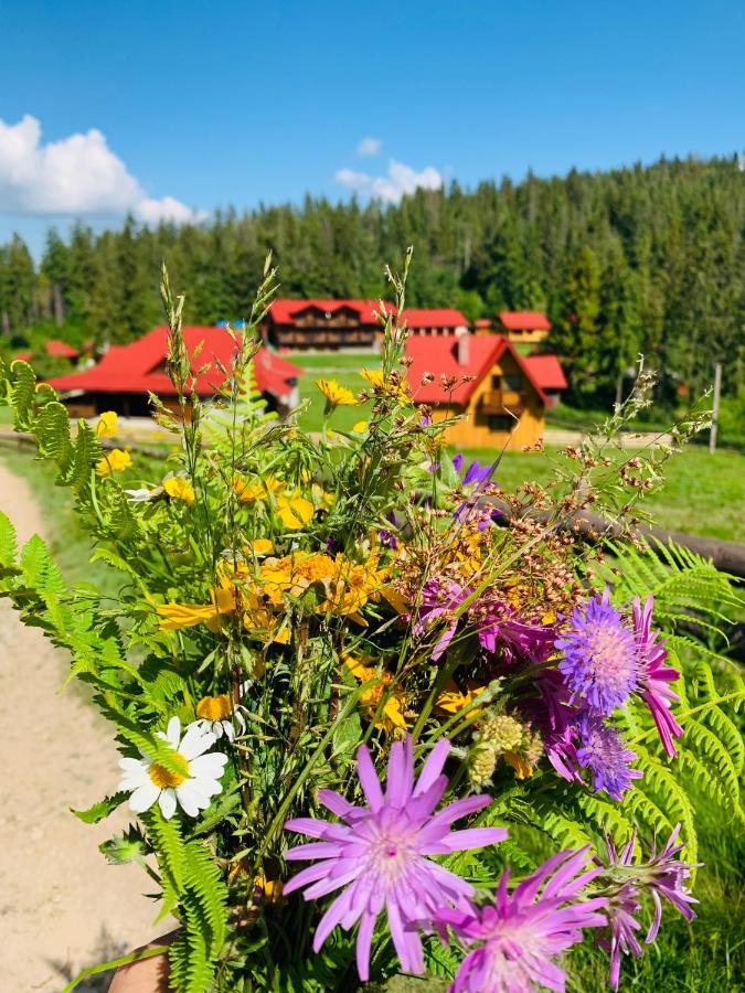 Baza Vidpochynku Ilz Slavske Exterior foto